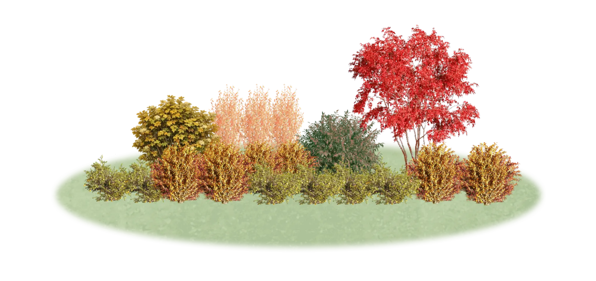 LandComp - панорама композиции в планировщике, осень