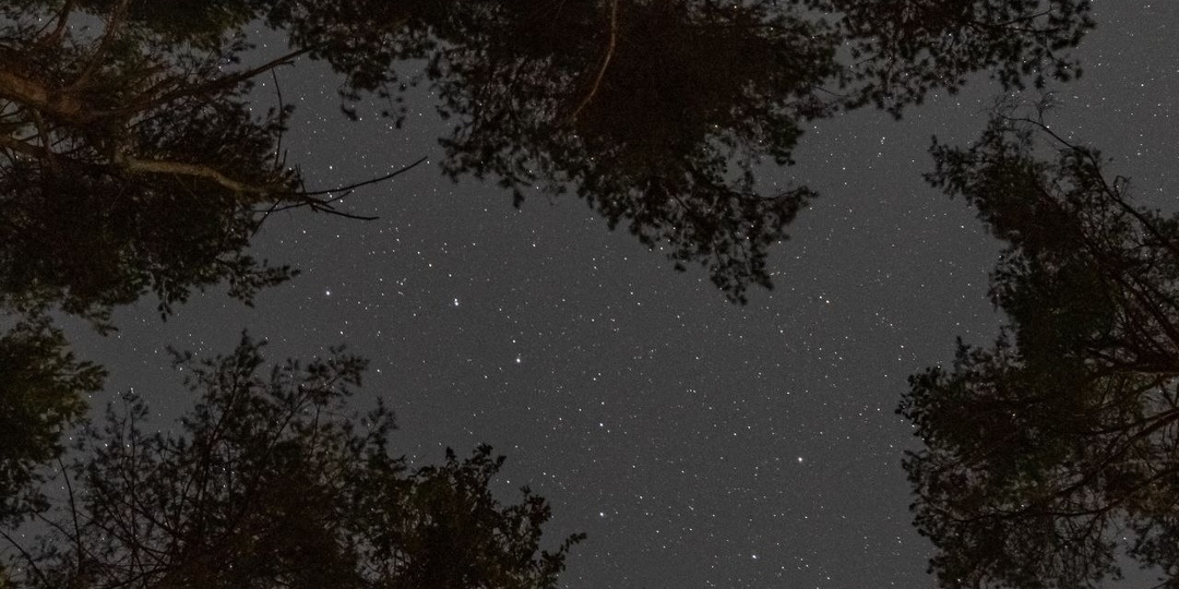 Шёпот сосен и свет далёких миров