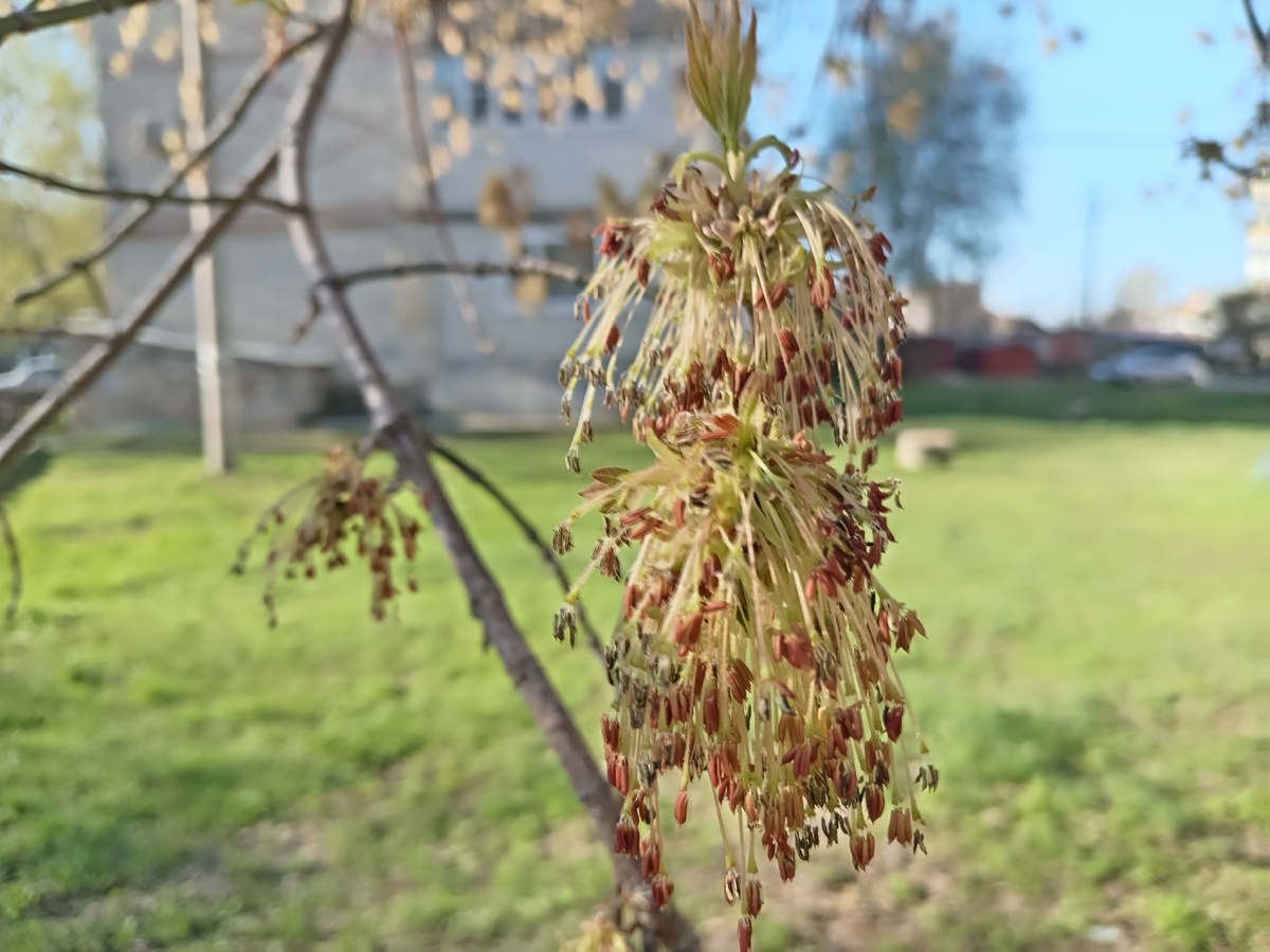 Фото автора