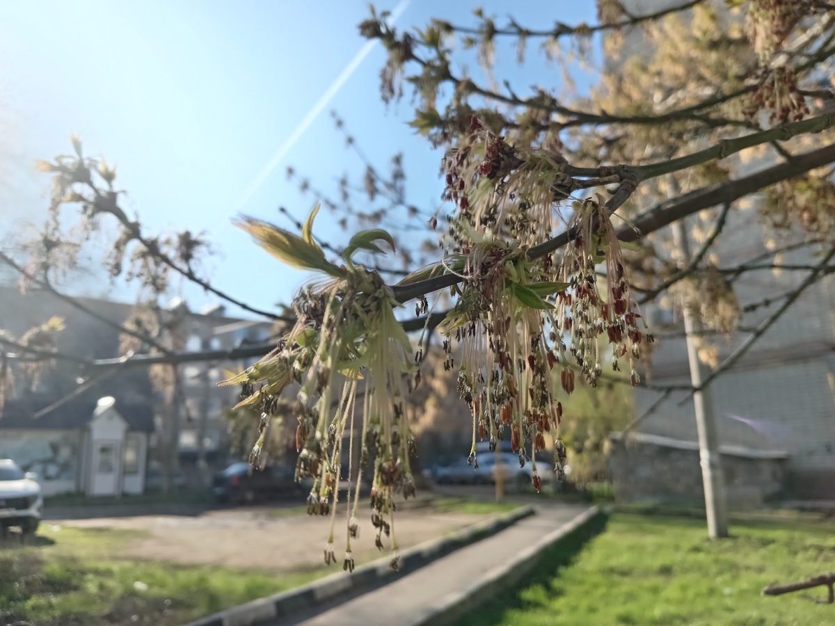 Фото автора