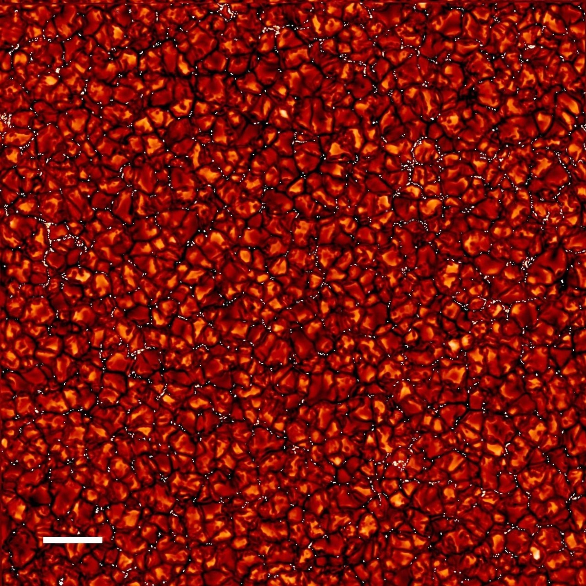 Поверхность Солнца в сверхвысоком разрешении / © J. Sanchez Almeida (IAC), SST, APOD/NASA