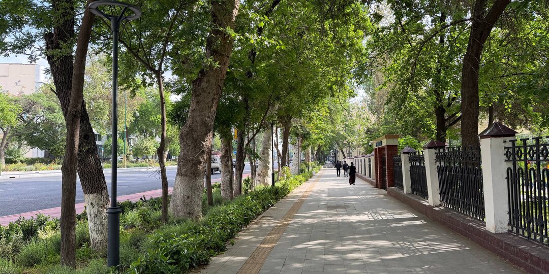 И снова привет Ташкент