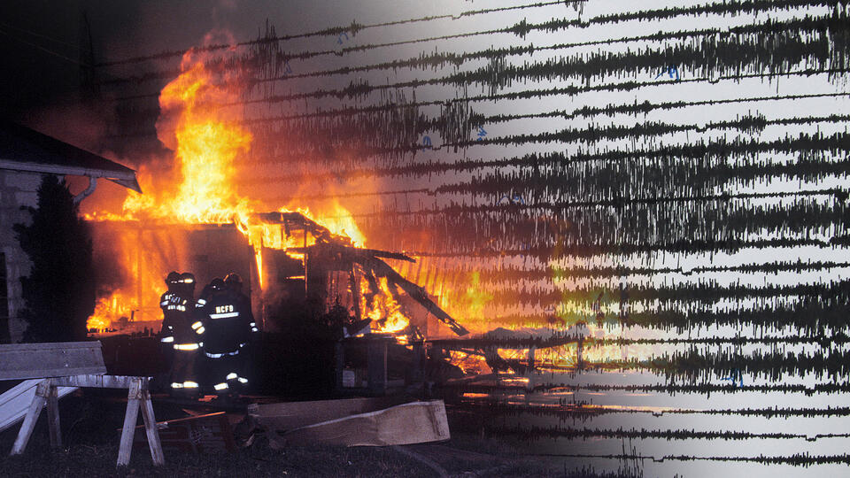 Фото: © Использованы материалы: Global Look Press/Ivan Damanik/ZUMAPRESS.com, Kathleen Olson/ZUMAPRESS.com