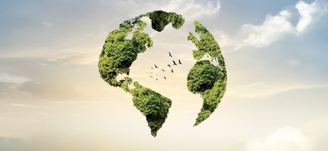 Как эко-привычки возвращают ощущение контроля и стабильности: рассказывает психолог