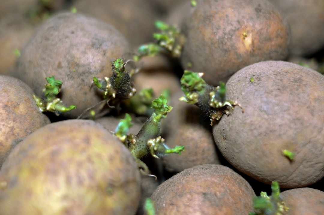 Создать карусель