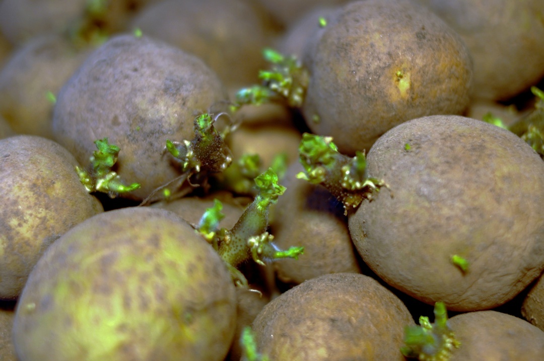 Создать карусель