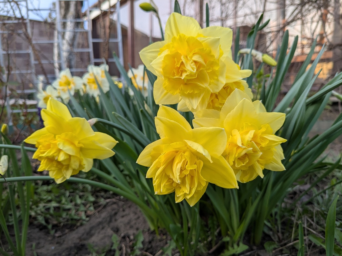 Сегодня у нас официально начинается дачный сезон