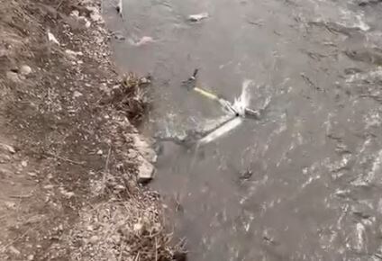 скриншот с видео