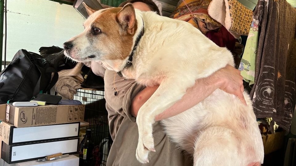 Девочки они такие девочки😂😂😂Все хотят на ручки