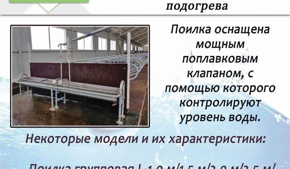 Добрый день