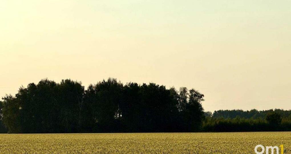 В Омской области проверят сохранность древних курганов и могильников