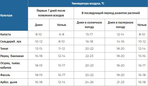 Какая температура нужна рассаде овощей