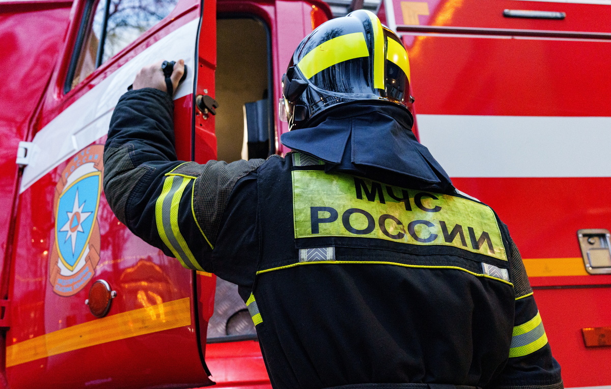 Олеся Чепурченко/ТАСС, архив