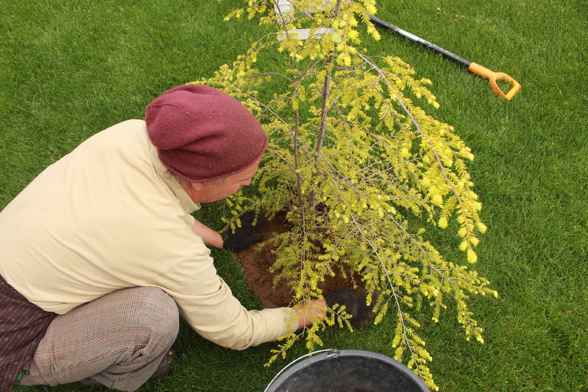 июнь 2022 года