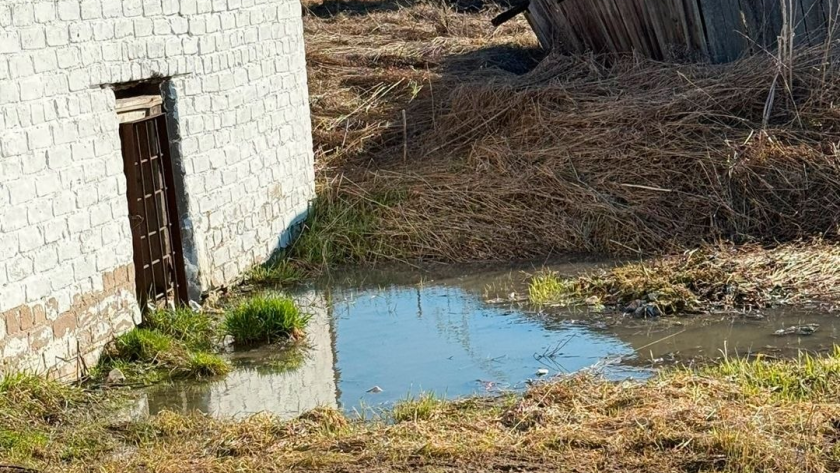    Фото: Народный фронт Кировской области