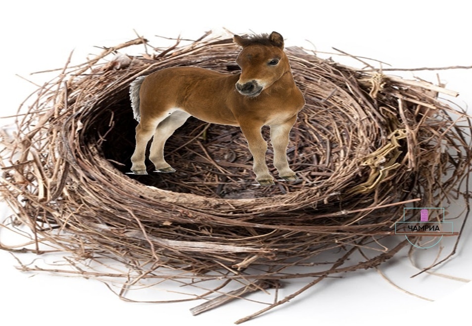 #English_idioms #Английские_идиомы #a_mares_nest #плод_воображения