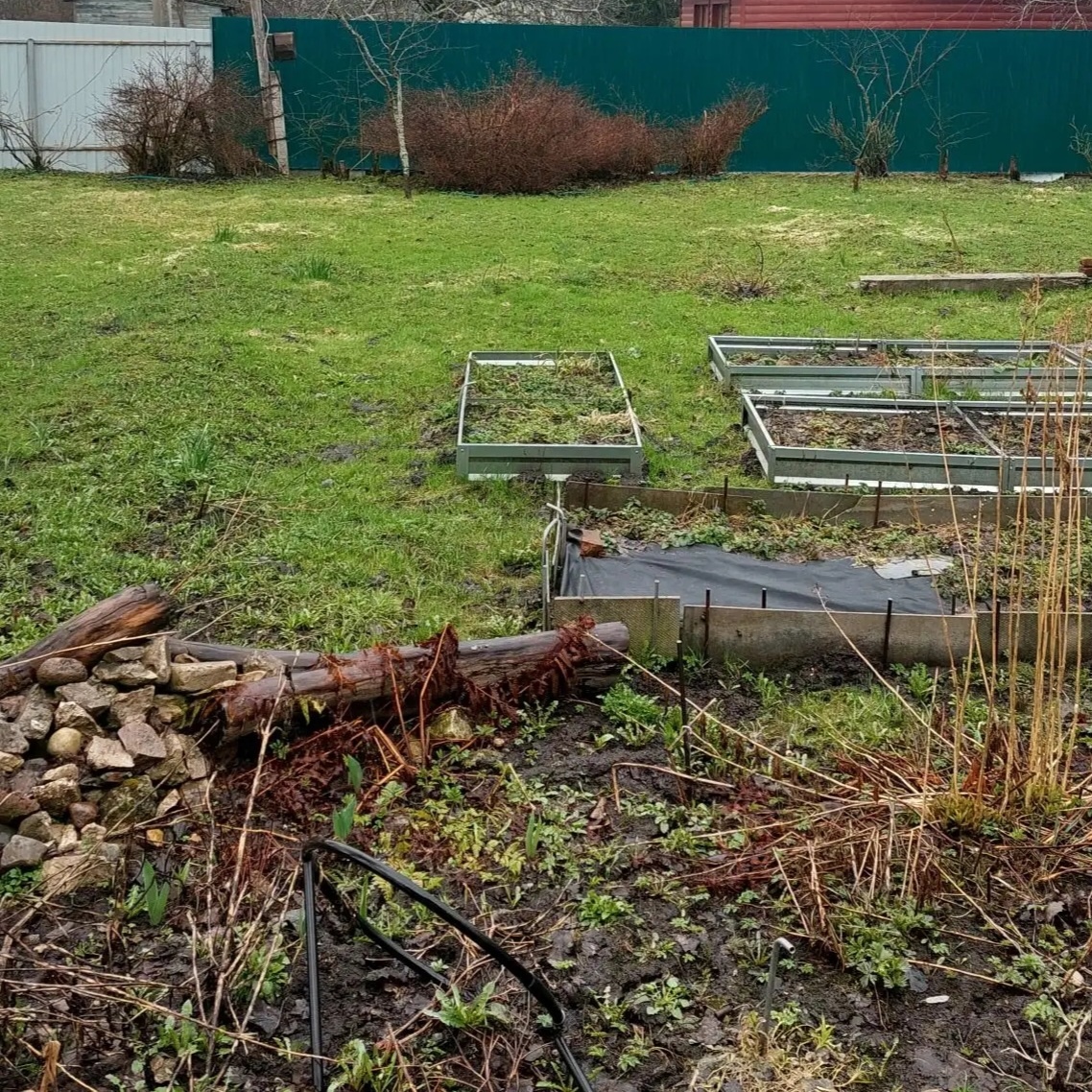 Фото автора.