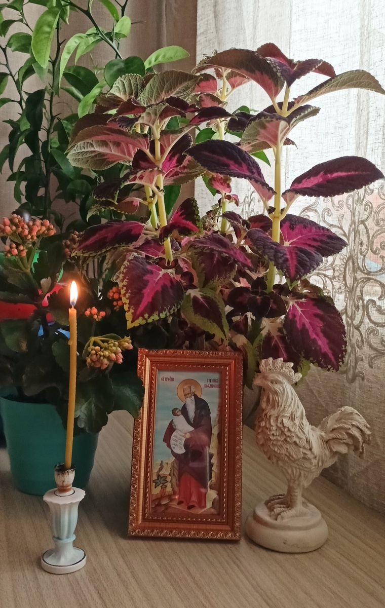 Икона  Св. Стилиана Пафлагонского