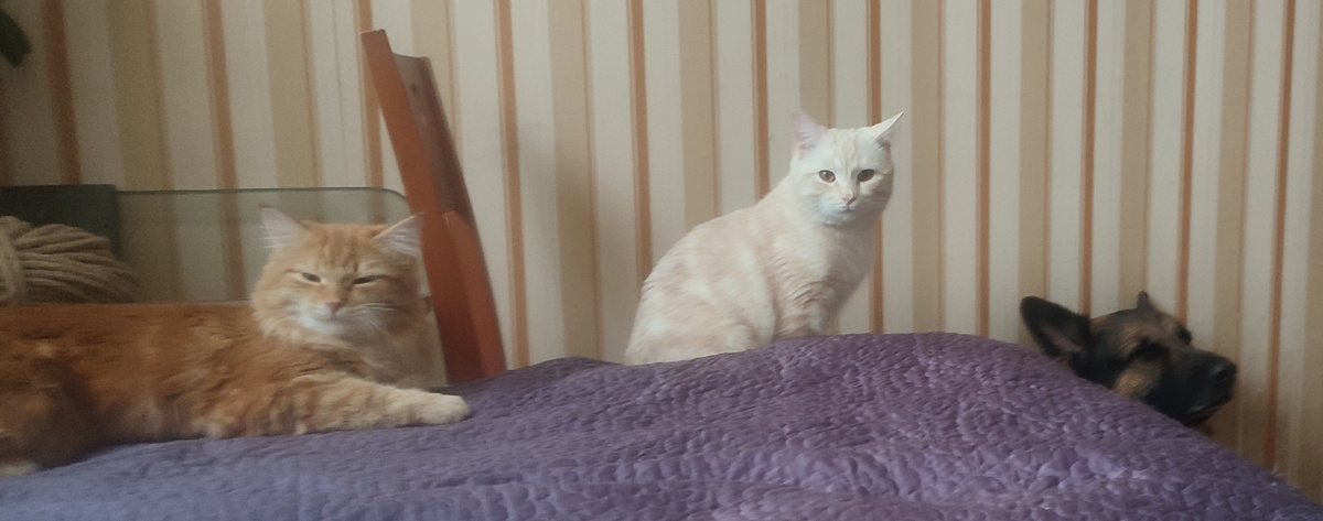 Вот она вся моя троица... 