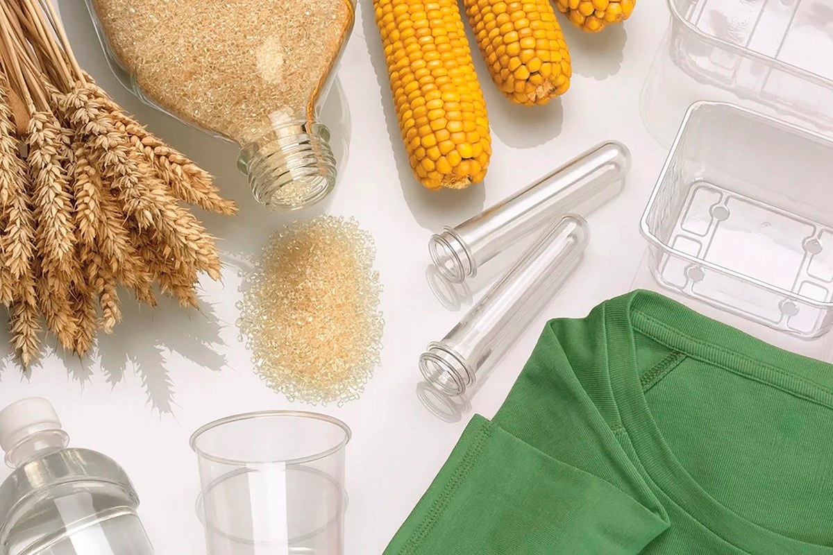 Сырьё для биополимеров: от растений к экологичной упаковке