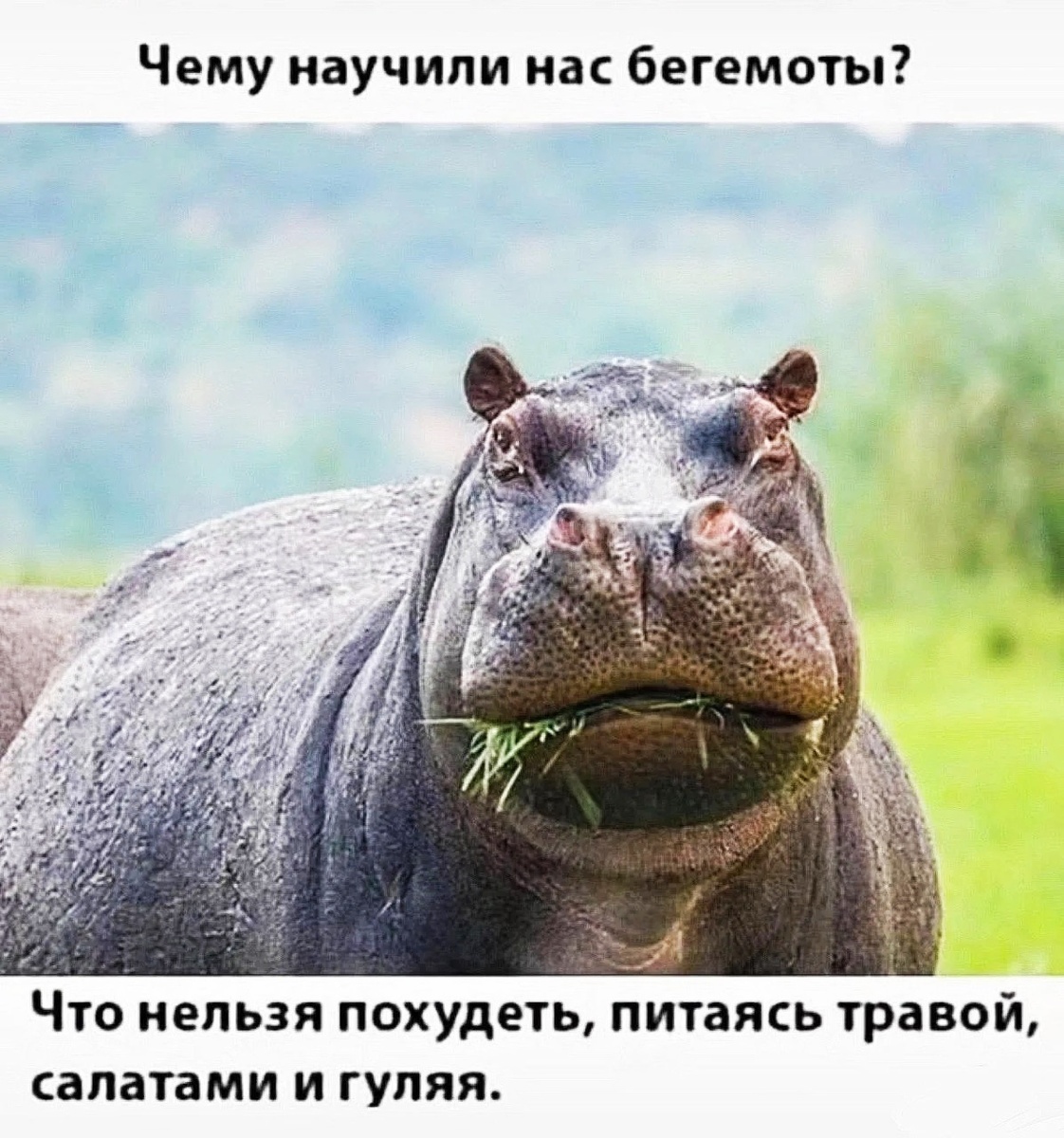 Этот мем, по-моему, подходит к данной статье лучше всего