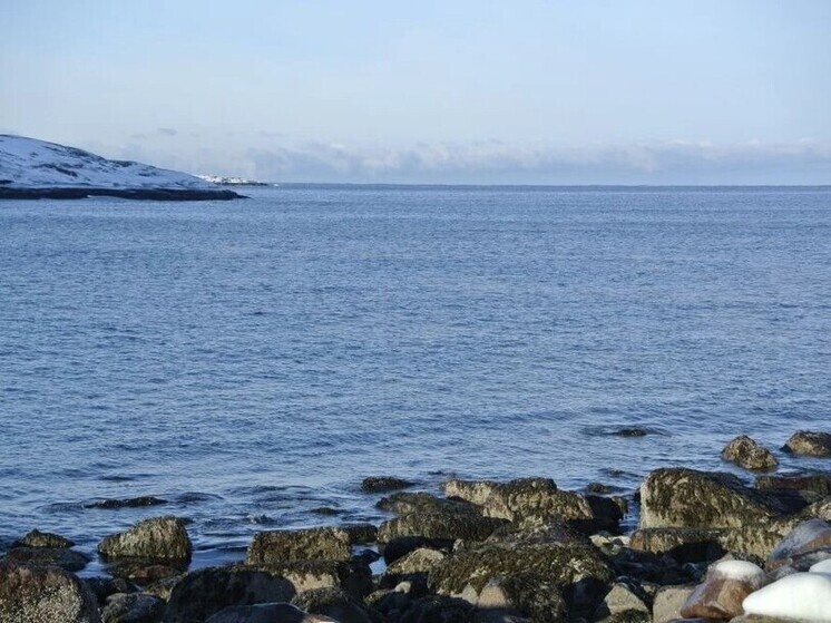     В Мурманске уже избавляются от пометохранилища. Фото: архив МК в Мурманске