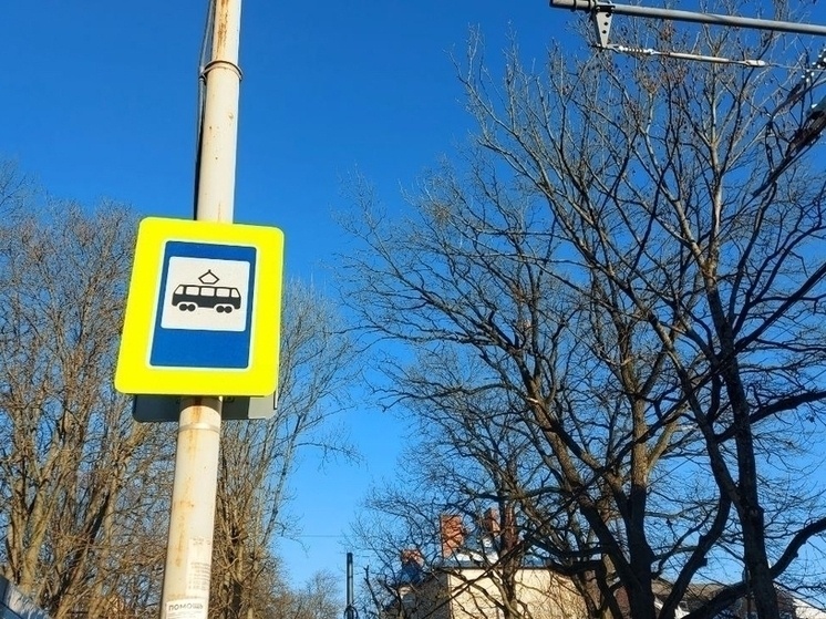     Маршруты восстановлены в полном объёме. Фото: архив "МК в Питере"