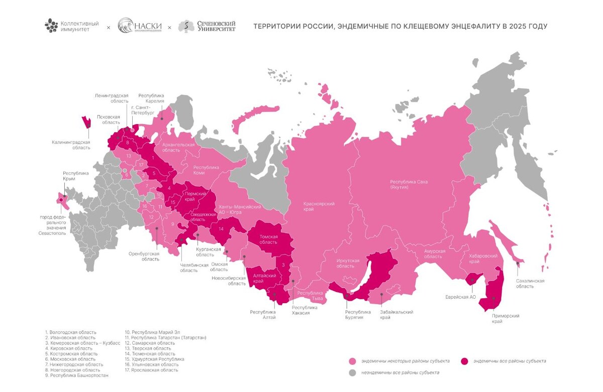 Территории России, эндемичные по клещевому энцефалиту в 2025 году Источник: vaccina.info