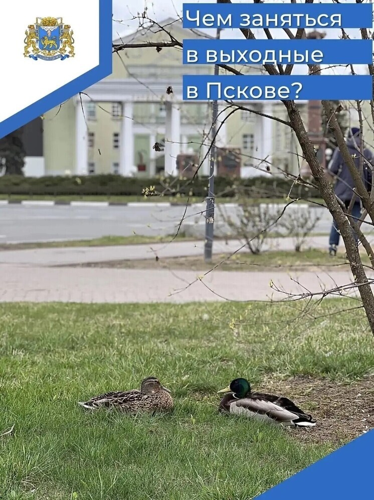     Фото: Борис Елкин/МАХ