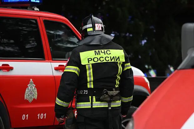    Источник: lenta.ru/ Ксения Ситникова