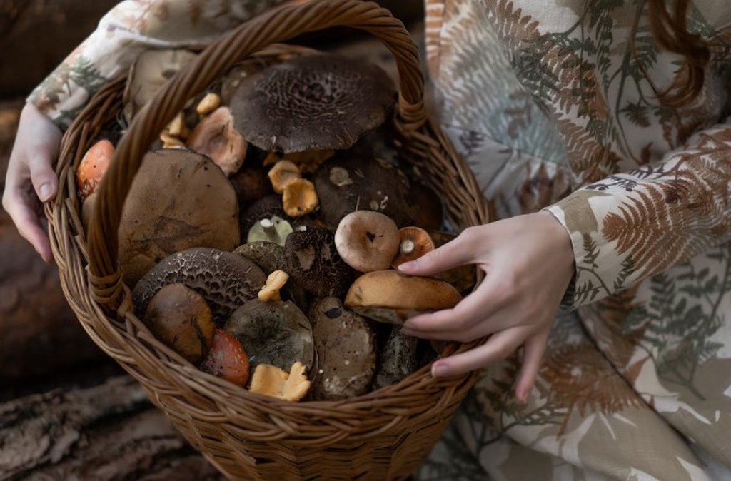    Фото © Freepik / Kireyonok_Yuliya