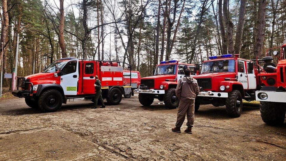    REGIONS/Мария Панина