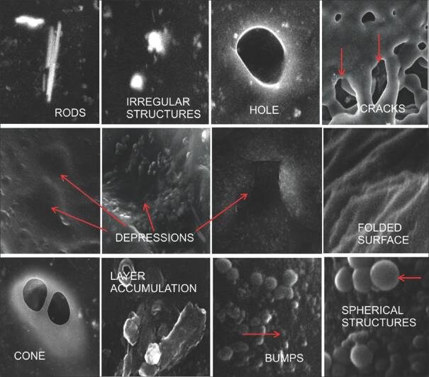 Фото ЭМП реальные микроскопические снимки различных форм тонера