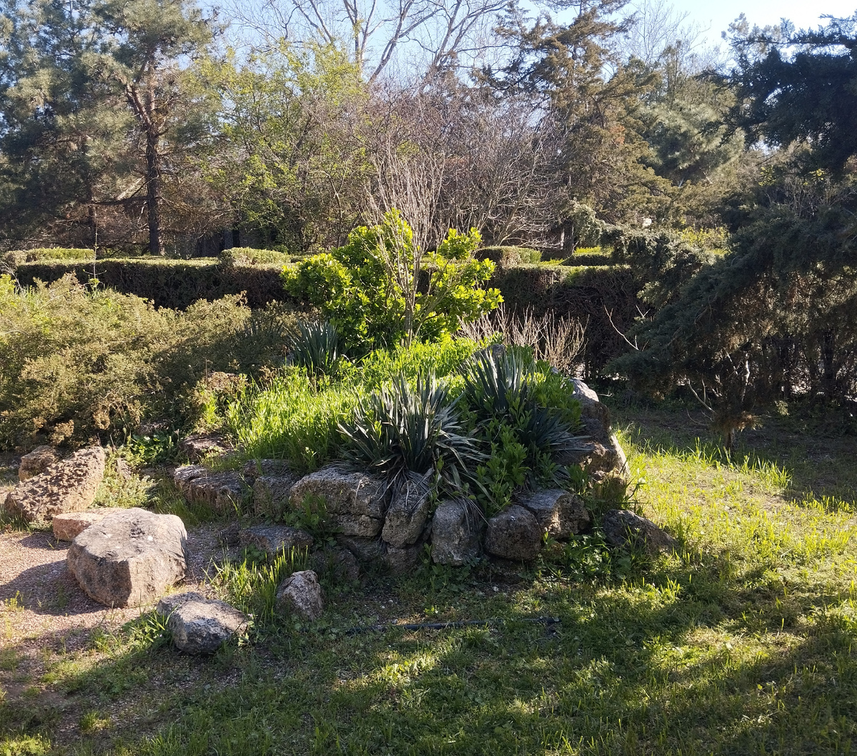 На территории санатория.