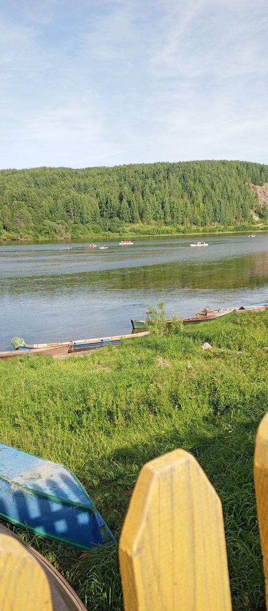 Вот такие флотилии плывут одна за другой.