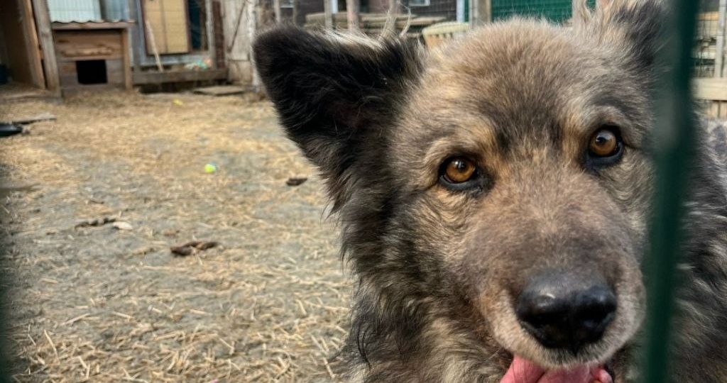 ПРОСЫПАЙСЯ, УЛЫБАЙСЯ!😁