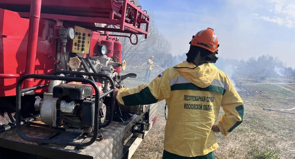    МедиаБанк Подмосковья/Ангелина Стельмух