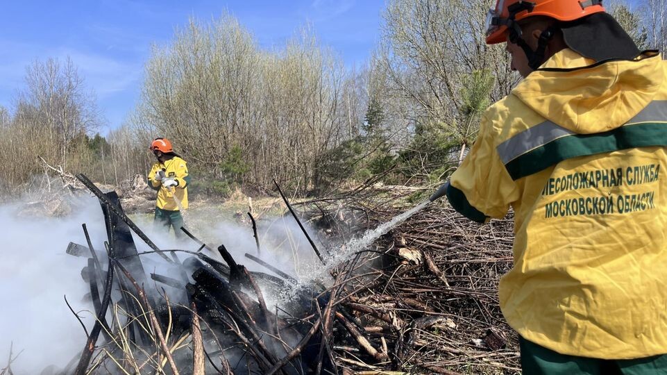    МедиаБанк Подмосковья/Ангелина Стельмух