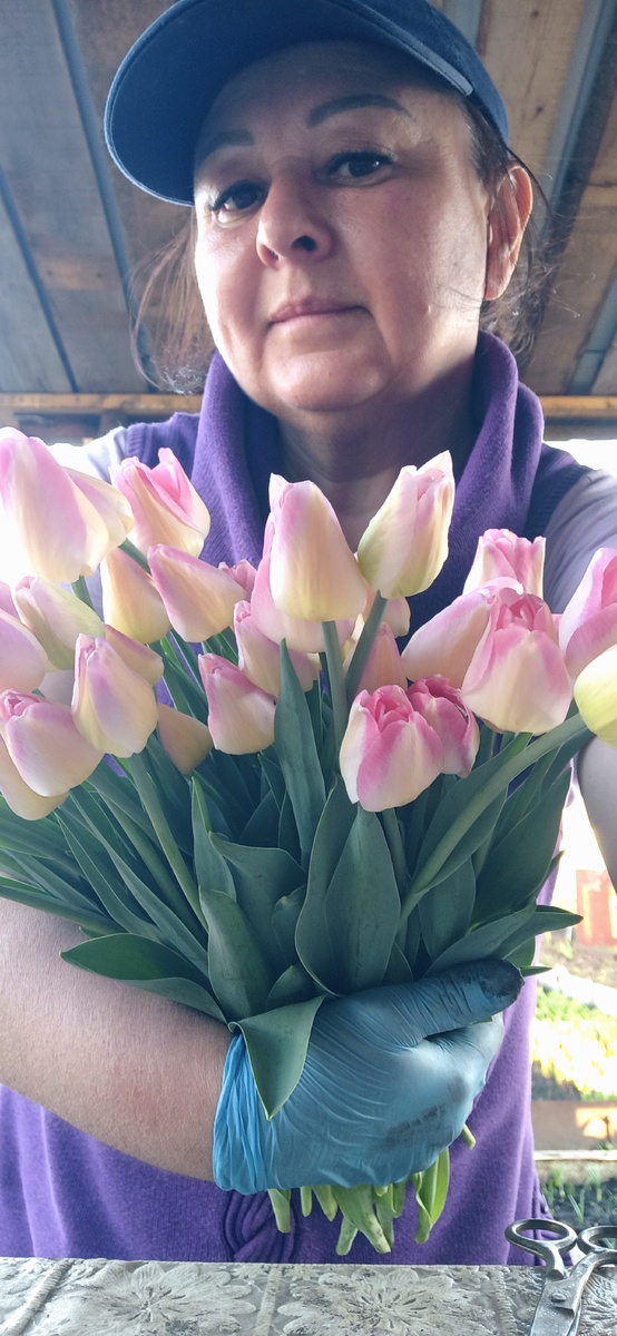 Я и мои тюльпаны  