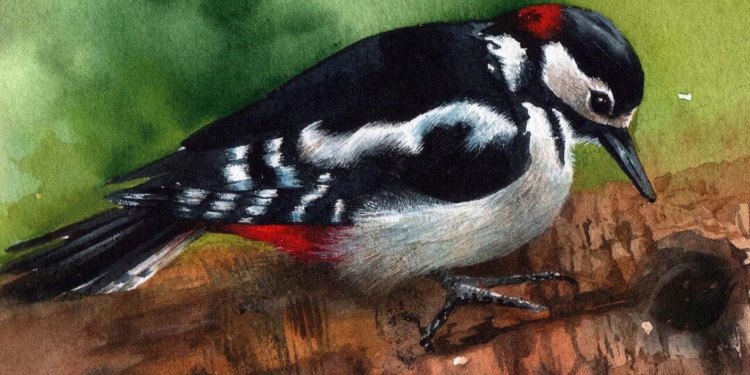 Притча. Дятел