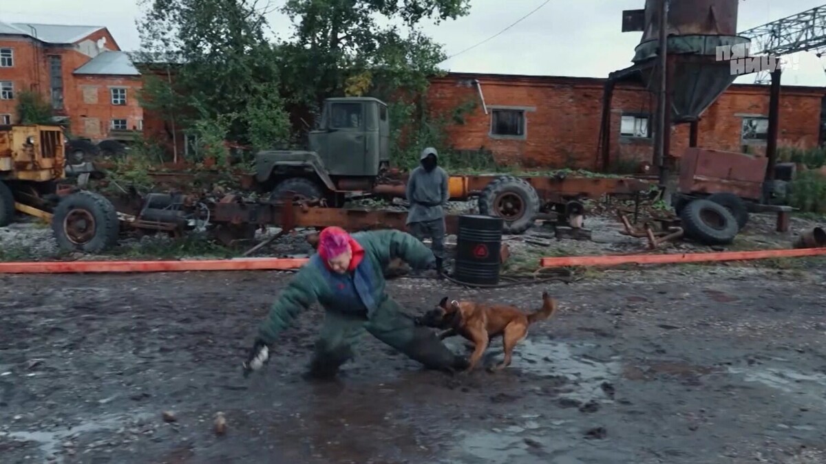    Кира Медведева повредила ногу во время испытания с собаками   «Пятница» / Шоу «Выживалити»