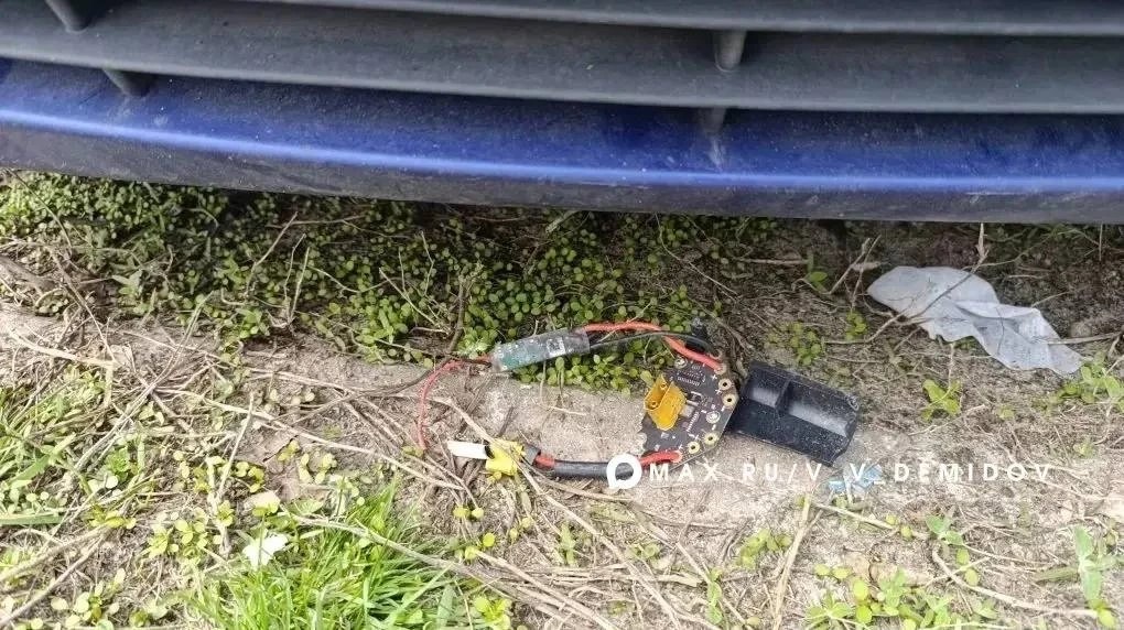     Фото: пресс-служба мэрии Белгорода