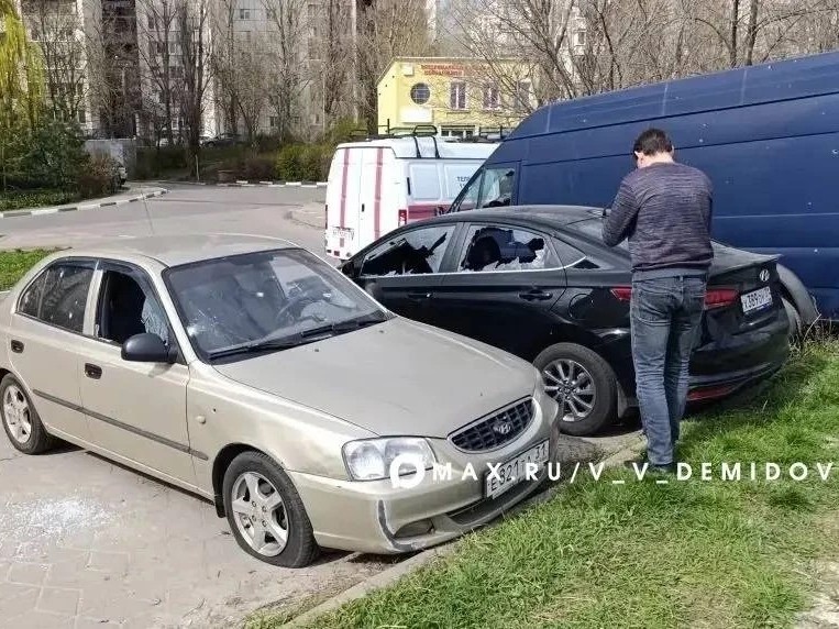    Фото: пресс-служба мэрии Белгорода