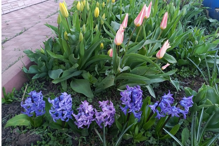 Погода в Балаково 19 апреля. Всё очнётся в памяти невольно, Отзовётся в сердце и в крови. Станет как-то радостно и больно, Будто кто-то шепчет о любви