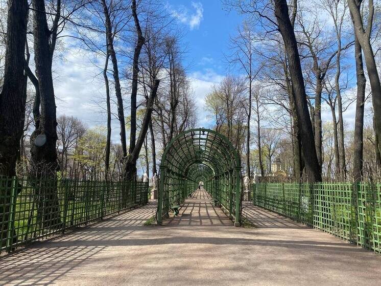     Сад закрыли на просушку, он откроется 1 мая. Фото: архив "МК в Питере"