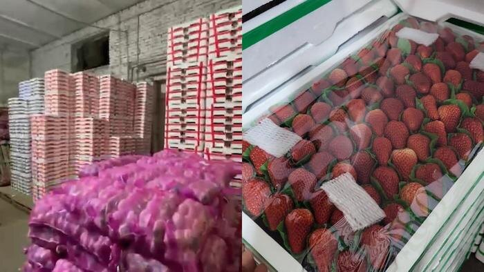 Обложка © SHOT