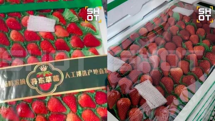 Китайская клубника, которую бабушки выдают за «свою». Коллаж © SHOT