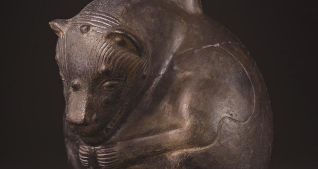 Захоронения бесшерстных собак возрастом более 1200 лет нашли в Перу