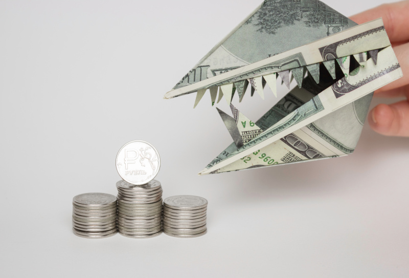    Sasha Turkina/Shutterstock