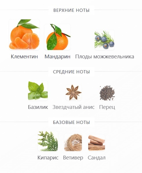 пирамида с fragrantica.ru